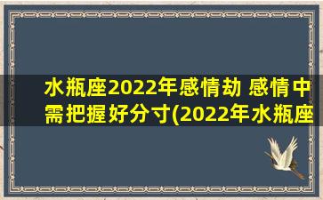 水瓶座2022年感情劫 感情中需把握好分寸(2022年水瓶座感情观需谨慎，把握分寸为关键)